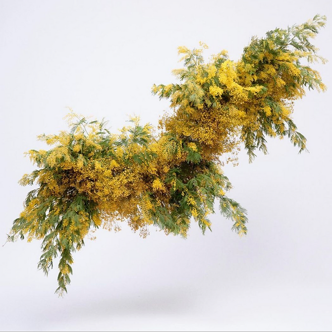 The Ultimate Guide to Choosing the Best Florist in Munich