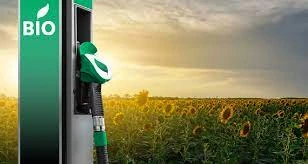 Biofuels Market  Industry Size, Share and Forecast to 2023