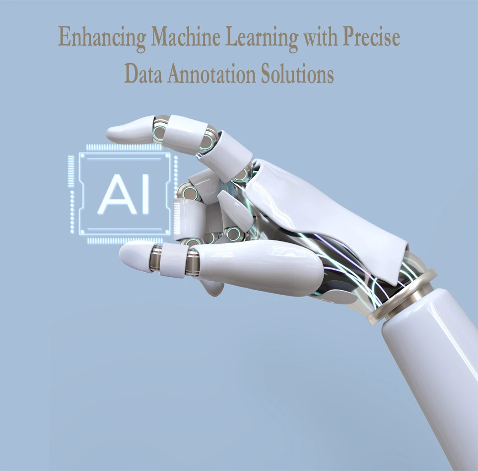 Enhancing Machine Learning with Precise Data Annotation Solutions
