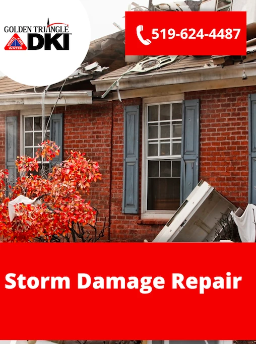 Storm Damage Repair – Best Services for Property Restoration
