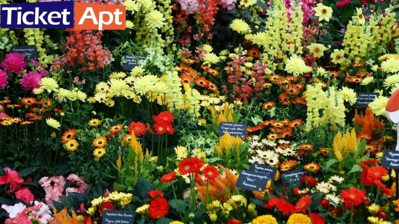 M&amp;G Garden at RHS Chelsea Flower Show 2021