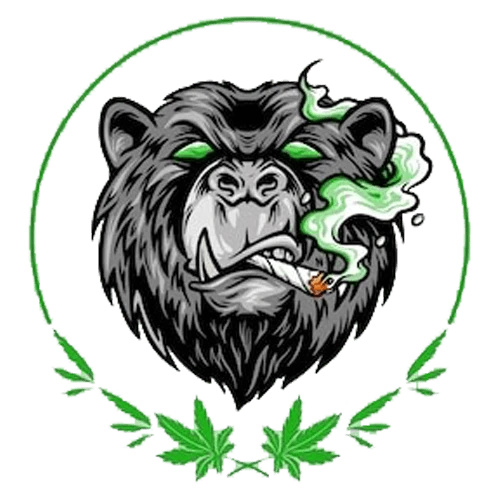 Eat Best Hemp Food in Washington DC | CBD-Infused Products