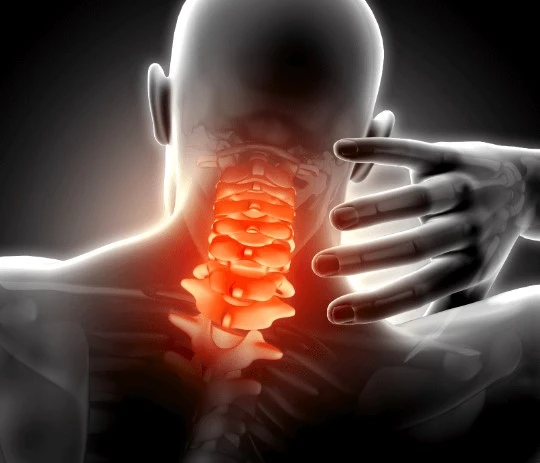 Spinal Devices Market Size, Global Industry Growth, Forecast to 2026