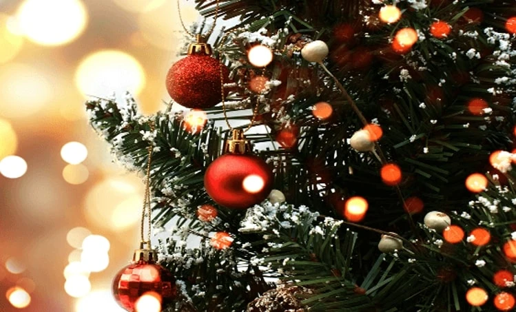 How to Hang Christmas Lights on a Tree?