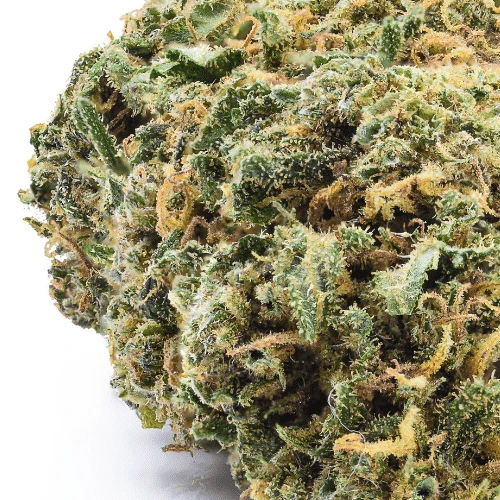 The Ultimate Guide to Disposable THC Vapes and Buying CBD Flower Online