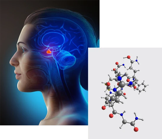 Finding Relief and Healing: Meniscal Injury Clinics and Therapeutic Peptides in Florida