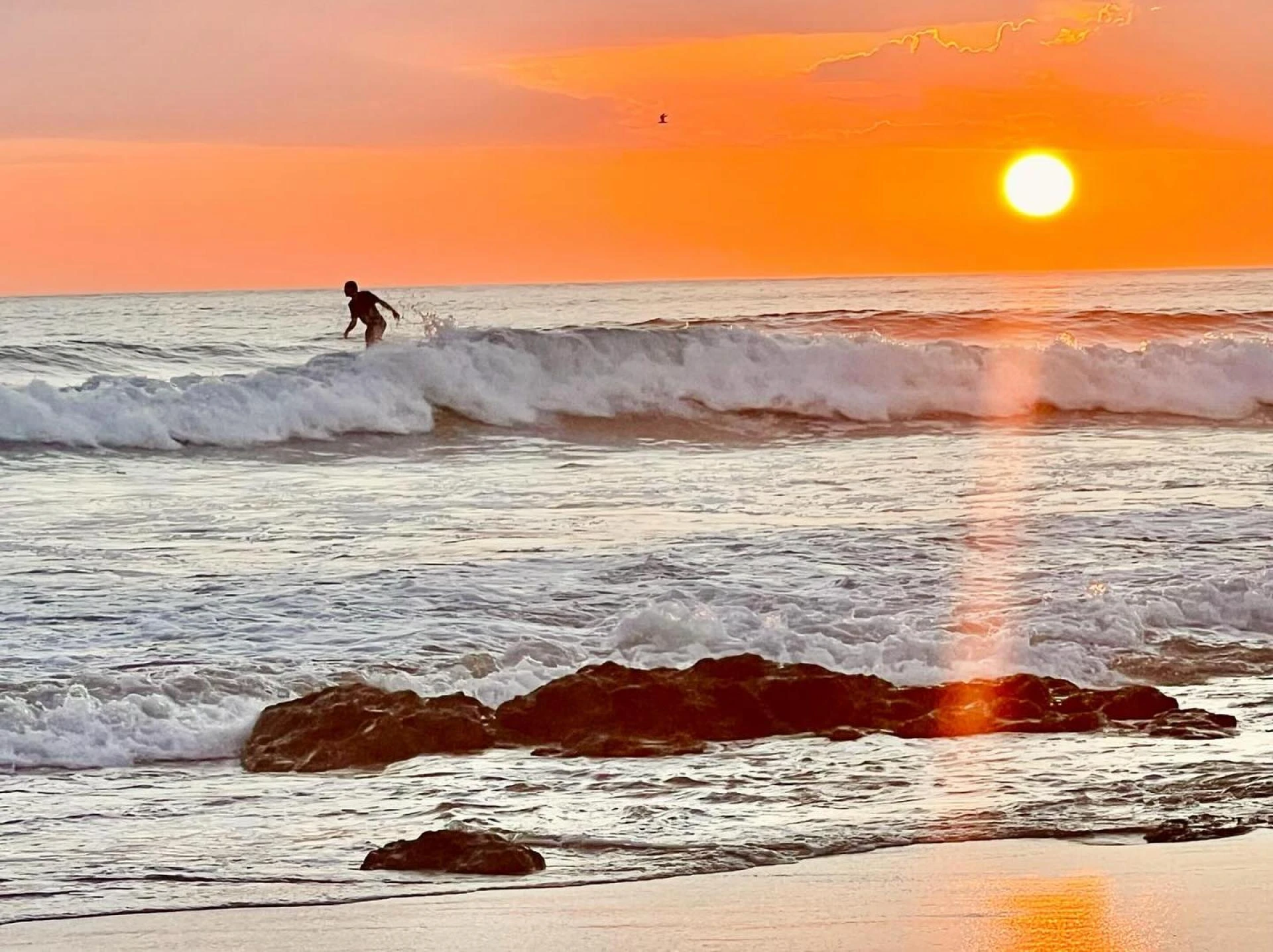 Costa Rica: The Ultimate Destination in 2024