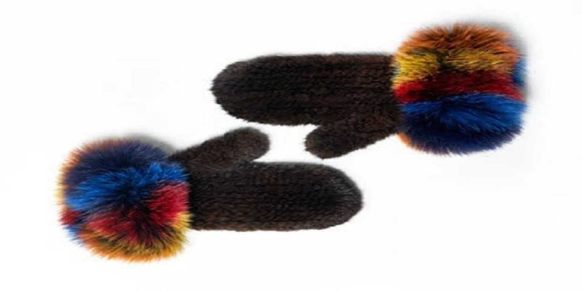 Everything You Need To Know About The Long Hairs of a Fox's Fur