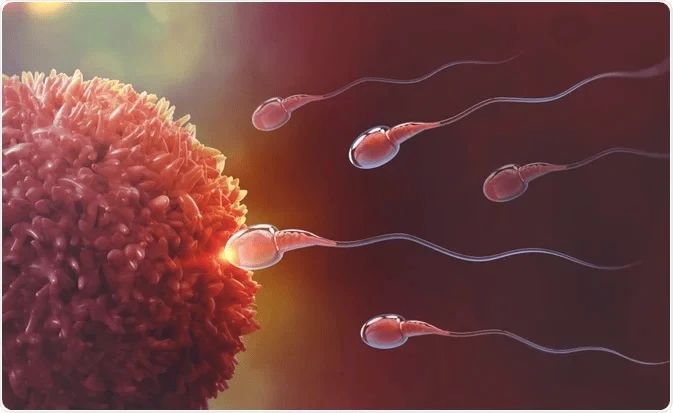 Understanding Your Fertility Journey: A Guide from a Sarjapur Expert