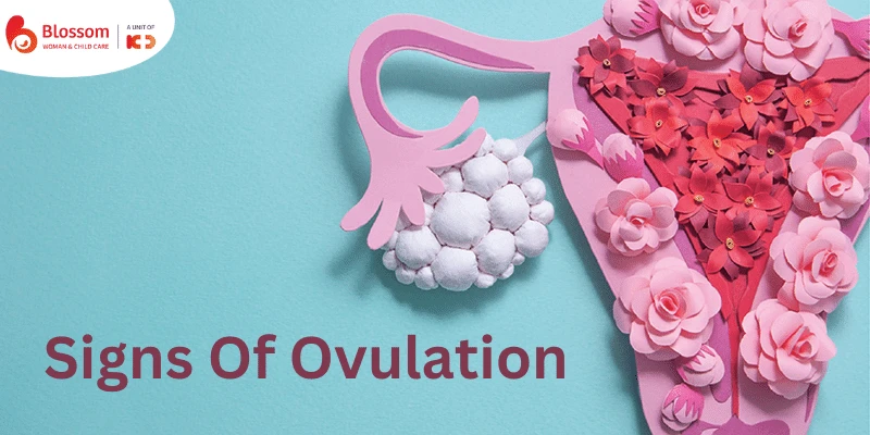 Signs Of Ovulation To Know If You're Trying To Get Pregnant