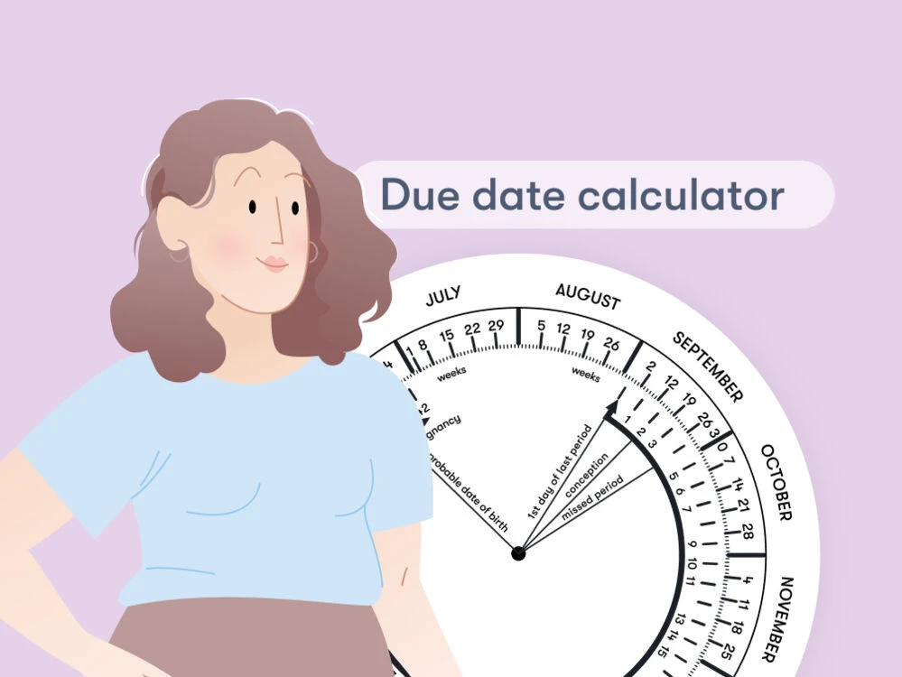 Your Pregnancy, Your Timeline: A Guide to Using a Calculator Effectively