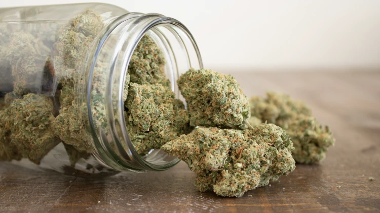 Comprehensive Guide to Marijuana Packaging and Labeling Regulations