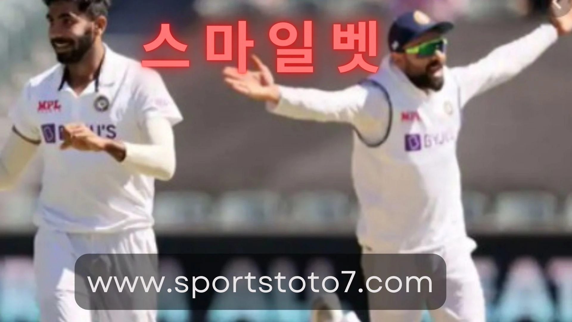 Cricket Betting Tips For Expert Match Predictions