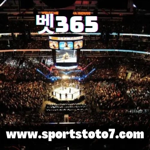 Boxing wagering tips: Big-battle review and investigation as Dalton Smith meets Sam O'Maison