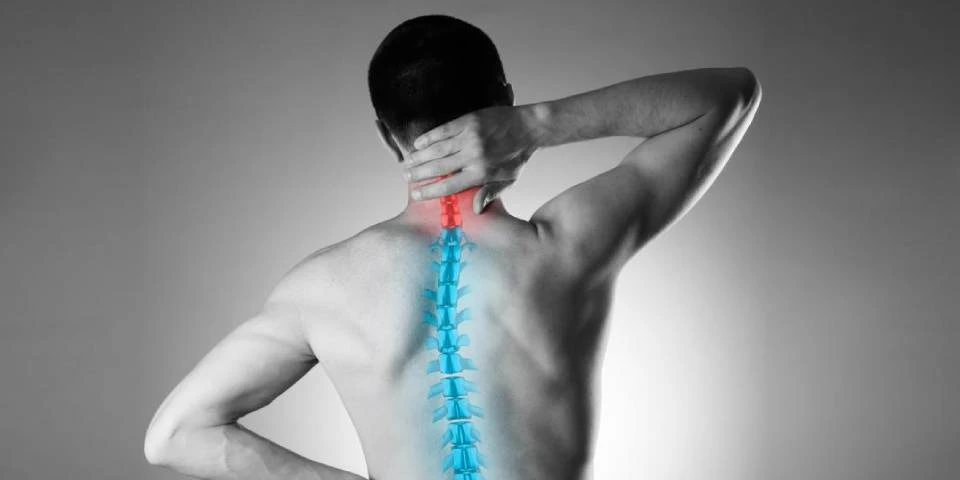 8 Ways to Fight Back Pain with Food - Dr. Prasad Umbarkar