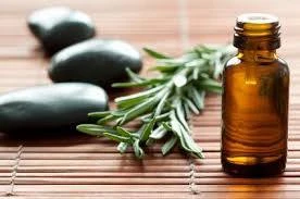 Unlocking the Herbal Power: The Benefits of 200-Proof Alcohol as a Herbal Extractor