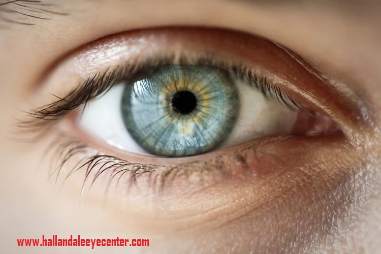 Ophthalmologist Dania Beach – Some Important Facts to Check Out