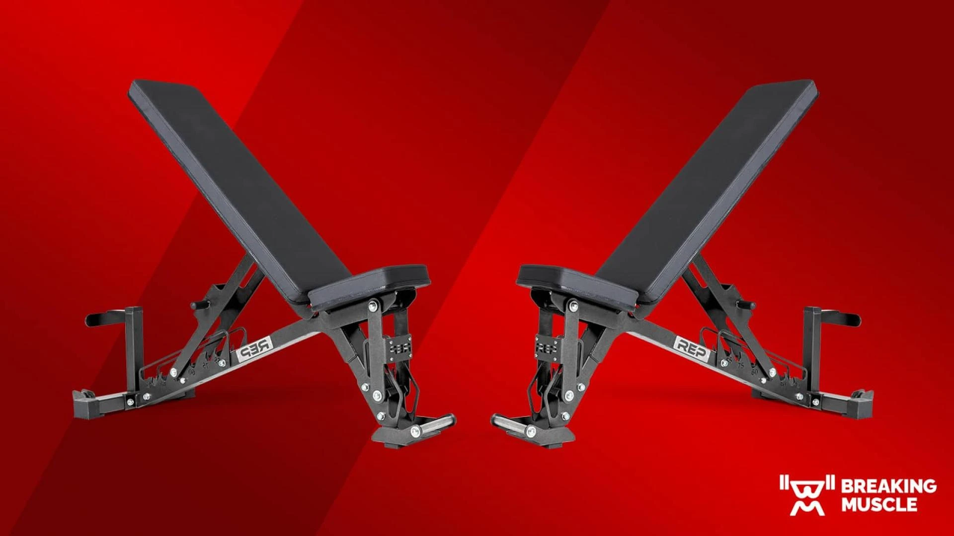 Comprehensive Review of the REP AB-5200 Adjustable Bench (2024)