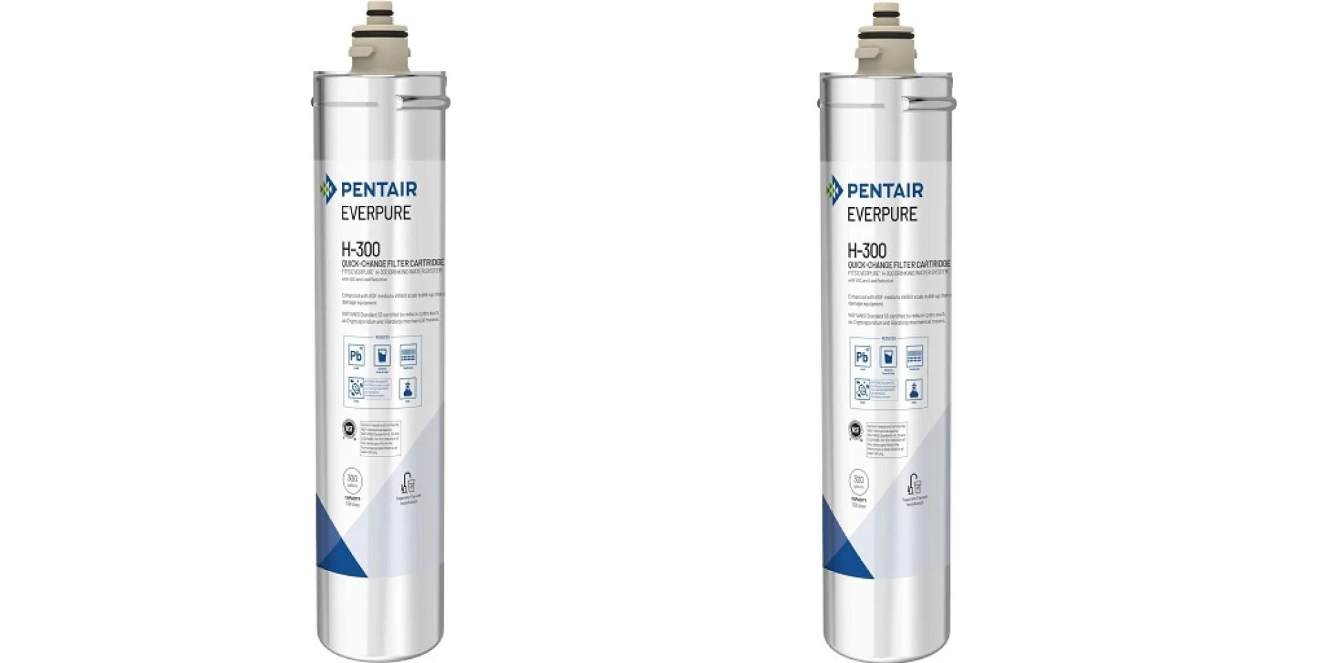 Everpure H300 Filter: Why You Should Get One for Your Home