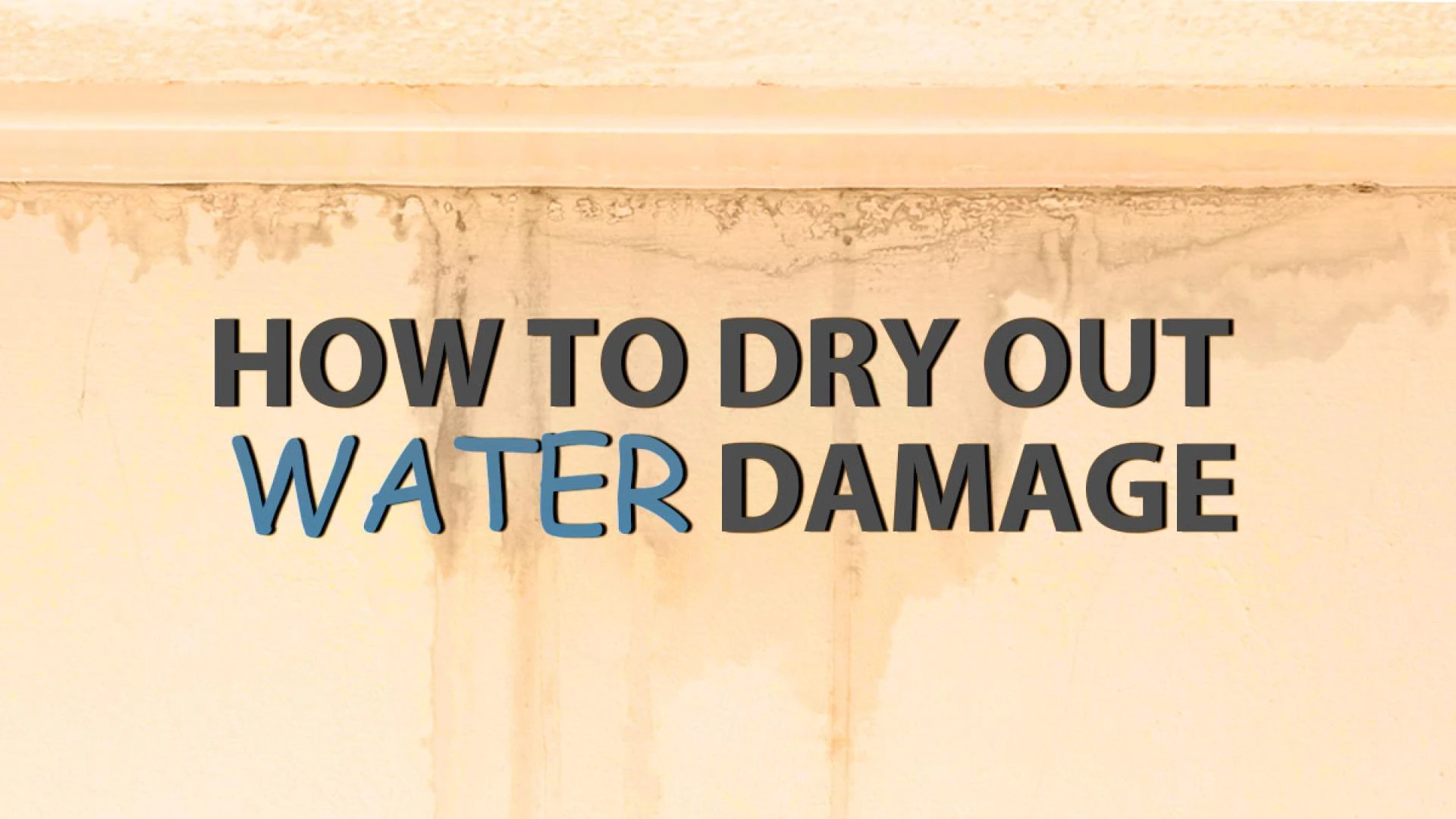 How to dry out water damage