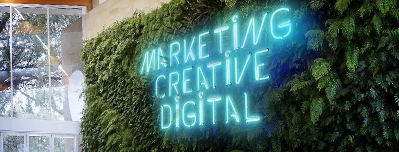 Unleashing Digital Potential: Gavin Flannery's Expertise in Elevating Brands Online