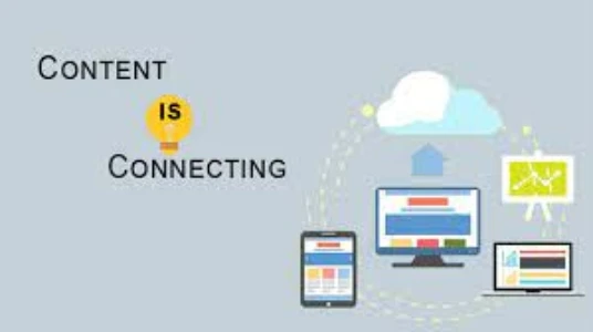 Why Some Websites and Content Become Popular on the Web