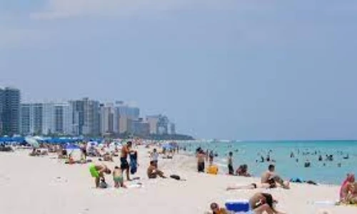 Experience the Magic of Summer in Miami