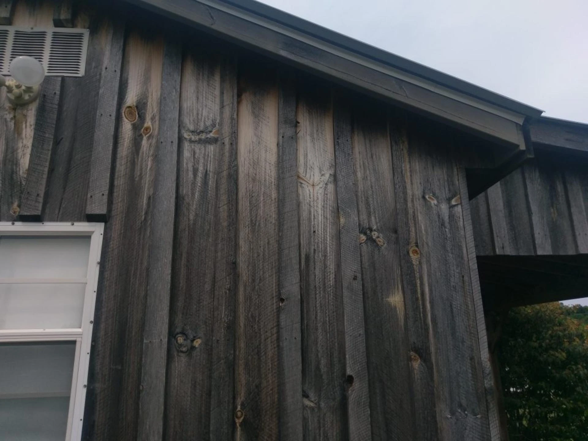 Get Maintenance Services and Enhance the Beauty of Cedar