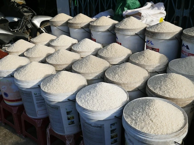 Navigating the Supplementary Cementitious Materials Market Landscape