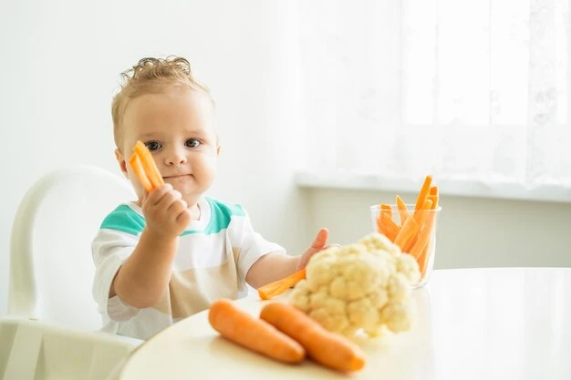 Cradle to Cupboard: Forecasting the Baby Food Market's Phenomenal Expansion
