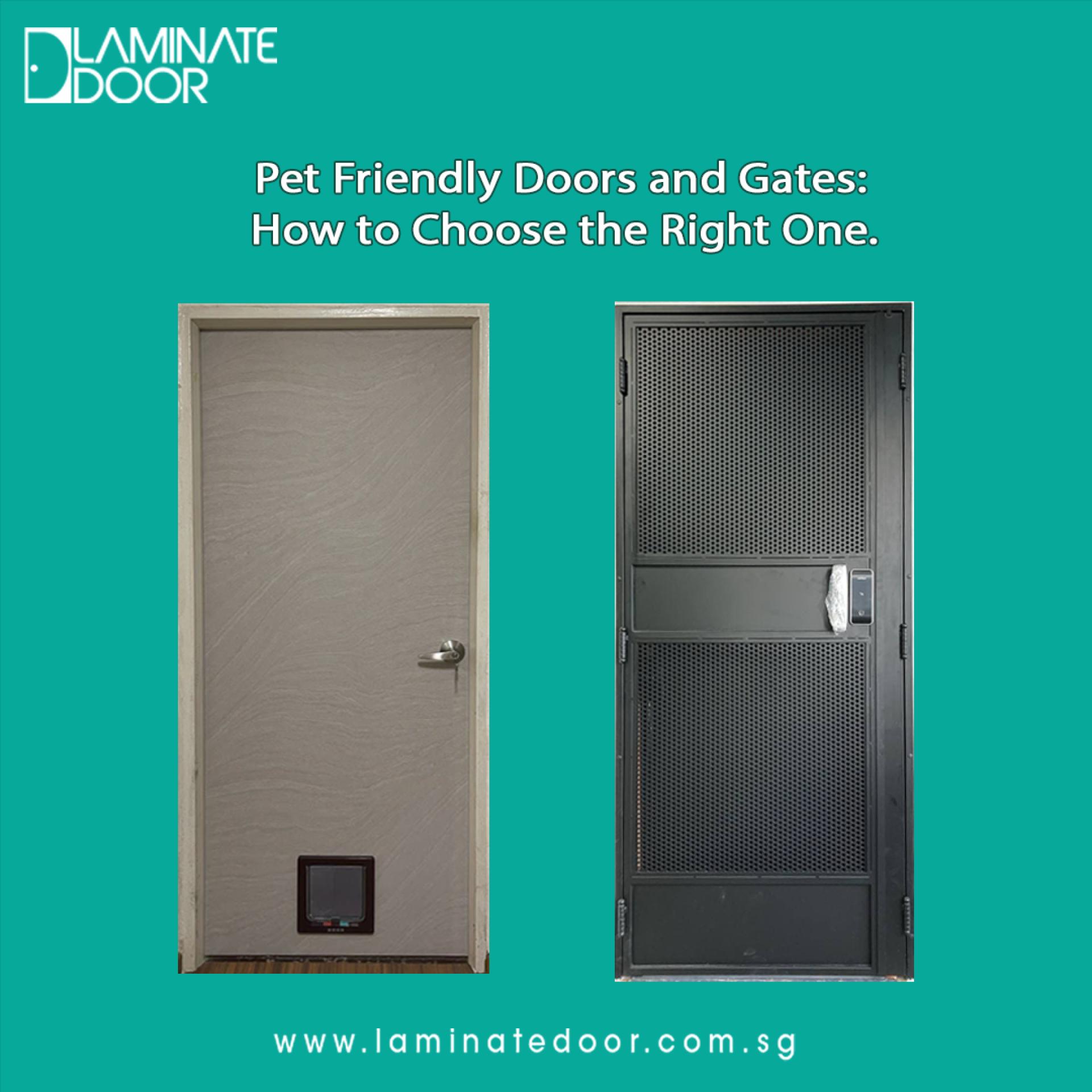 Pet Friendly Doors and Gates: How to Choose the Right One