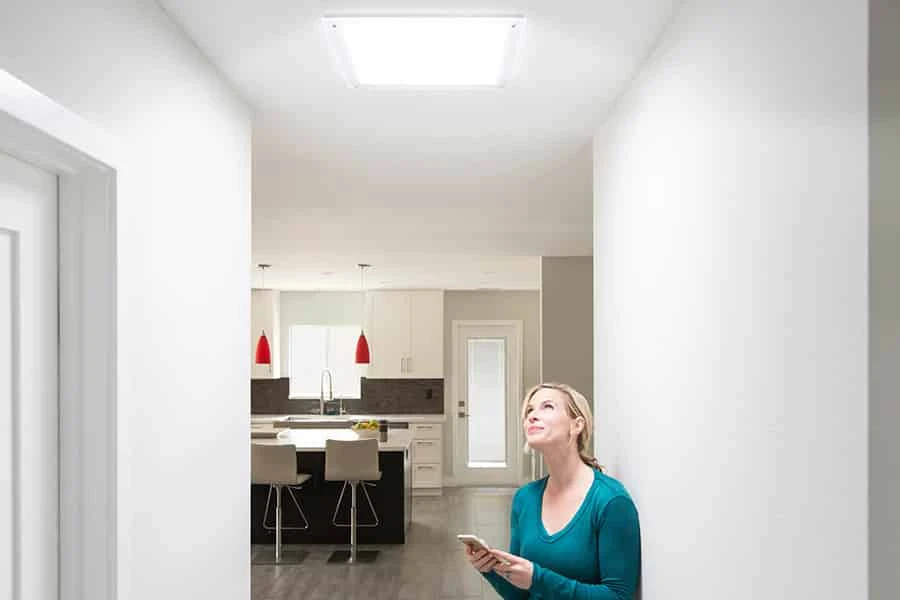 The Importance of Proper Maintenance of Rooftops