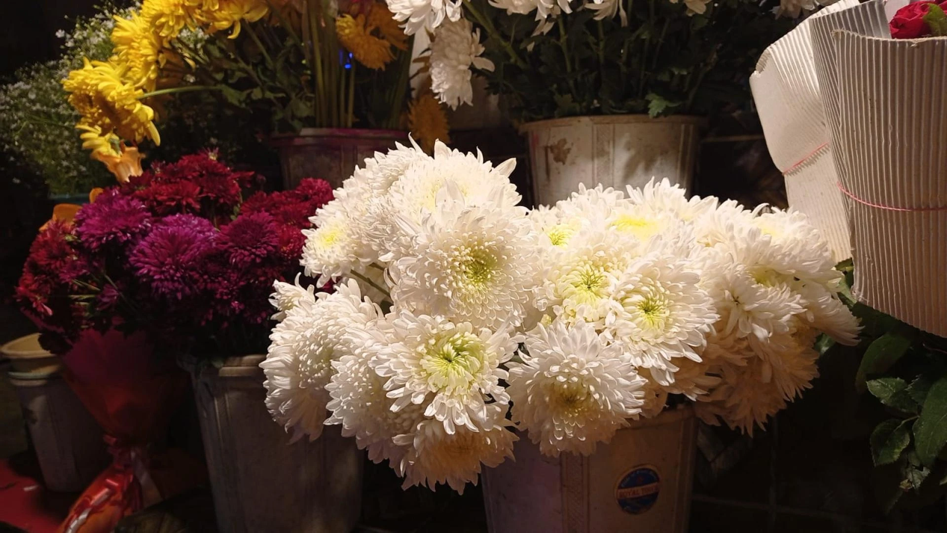 Top 5 Flowers Fragrance and Their Best Uses