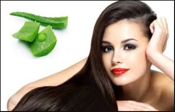 Learn How to Reduce Hair Loss Naturally