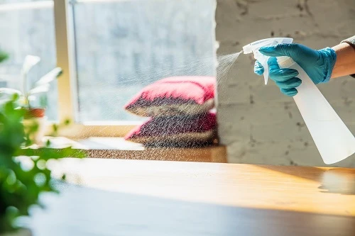 Different Types of Professional Window Cleaning Services You Can Get