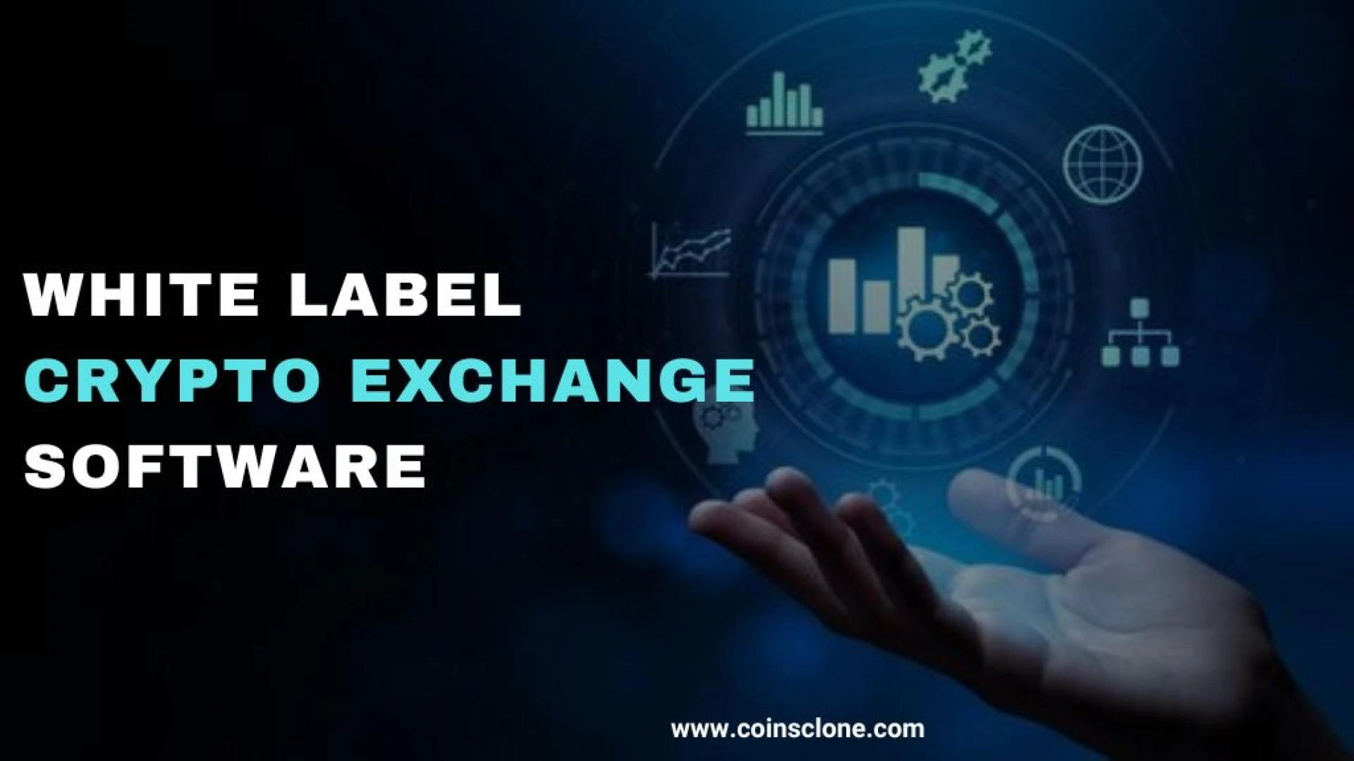 White Label Cryptocurrency Exchange Software: A Game-Changer for Entrepreneurs