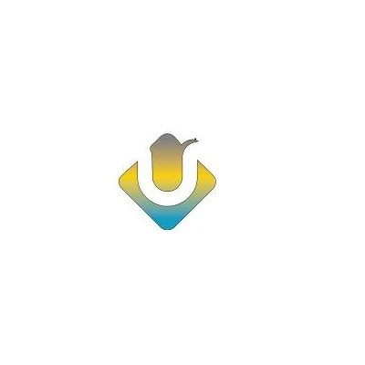 Elevate Your Online Presence with Auckland's Leading SEO Agency