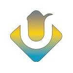 Empowering Business Growth with Ecommerce Web Development Solutions for Success 