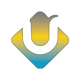 Building a Strong Brand Identity with Ultimate Web Designs