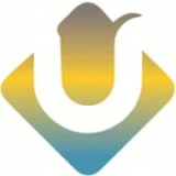 Internet Development Services: Understanding of Consumer Research