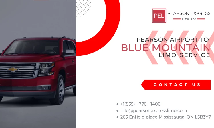 How Does the Pearson Airport to Blue Mountain Limo Service Offer You Affordable Prices?