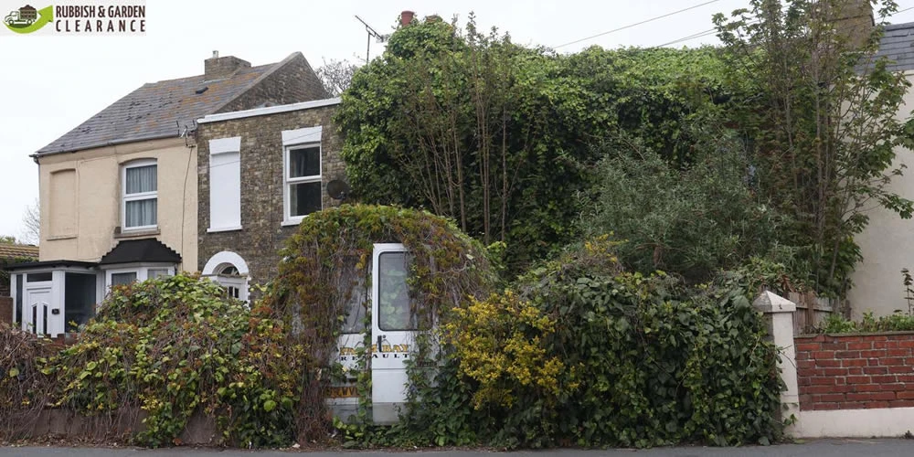 Garden Clearance Services in Merton: Clearing Your Way to a Beautiful Garden