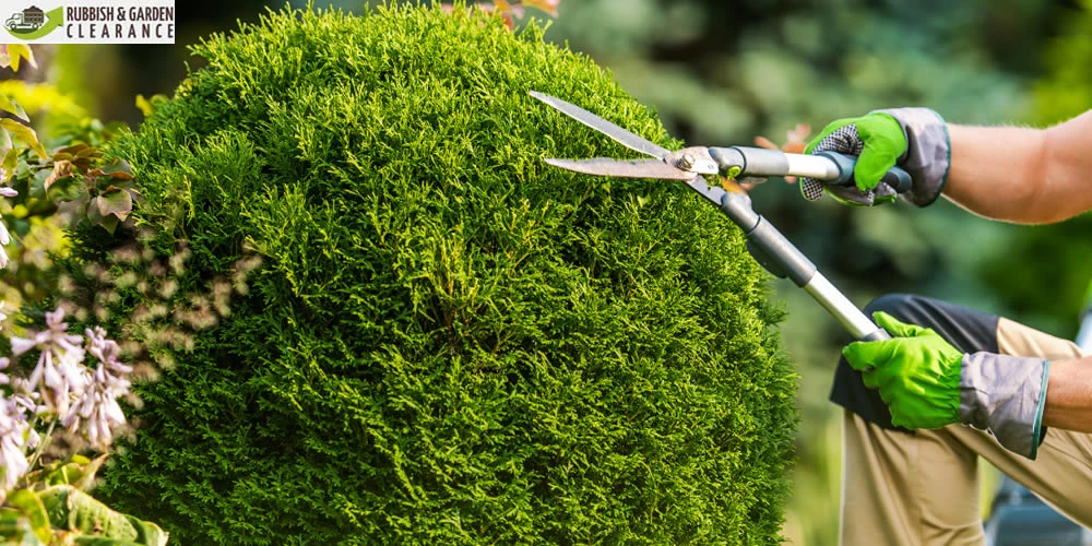 Specialized Garden Clearance Services in Merton: Say Goodbye to Overgrown Gardens