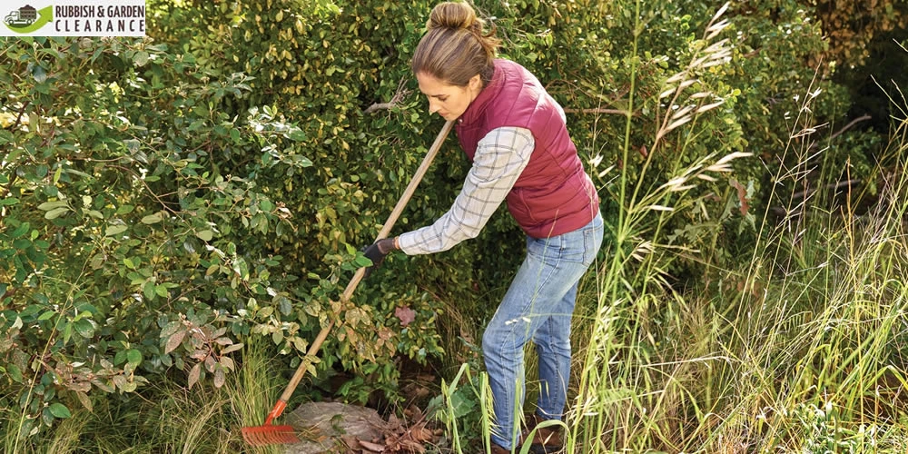 The Hidden Dangers of DIY Garden Clearance in Merton: Leave It to the Professionals