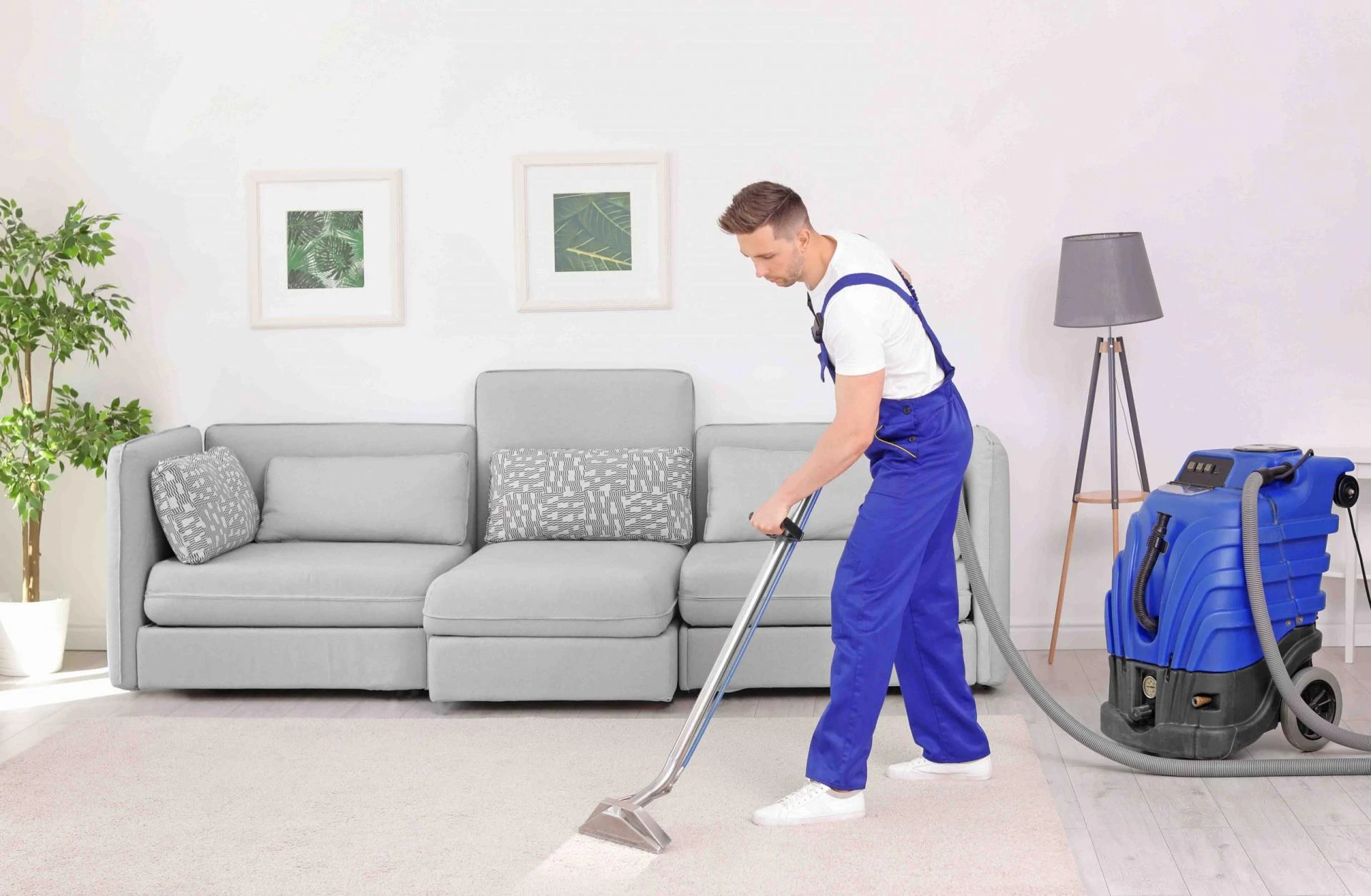 Eco-Friendly Carpet Cleaning: Navigating Sustainable Options for a Cleaner Home