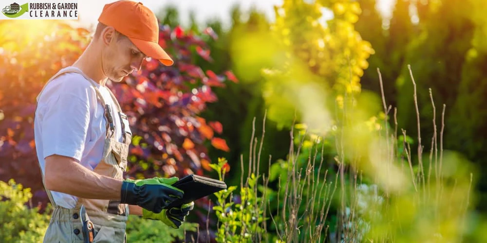 Hire a Professional Garden Clearance Croydon