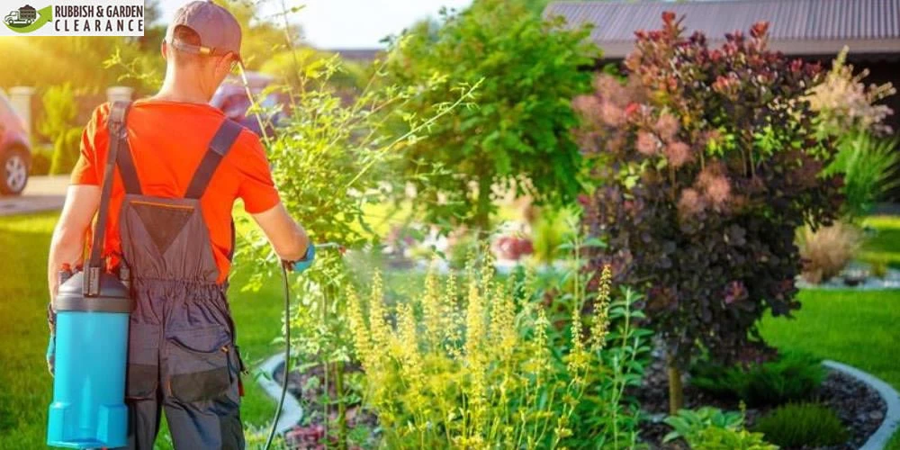 Important Concerns When Selecting an Expert Garden Clearance in Sutton