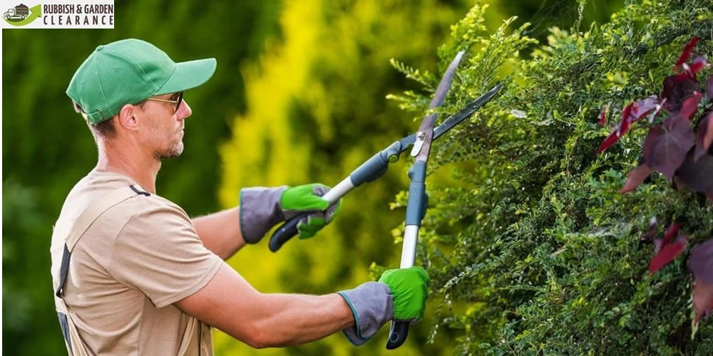 When Should You Book And Advantages Of Garden Clearance Company In Croydon?