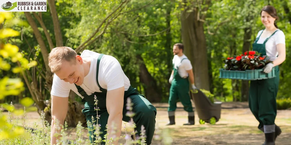 10 Reasons to Hire a Professional Garden clearance in Sutton