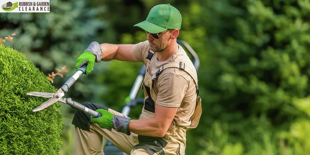 Generally Asked Questions before Hiring Garden Clearance Company in Sutton